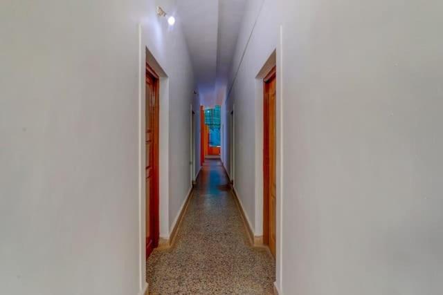 Alfa Apartment